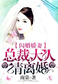 閃婚嬌妻：總裁大人請離婚