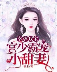 幸孕雙寶：宮少霸寵小甜妻