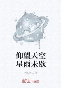 仰望天空星雨未歇