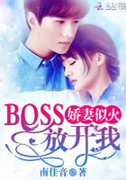 嬌妻似火：BOSS，放開我