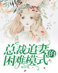 總裁追妻的困難模式