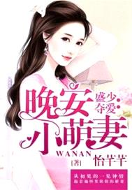 盛少奪愛：晚安小萌妻