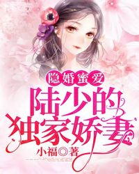 隱婚蜜愛：陸少的獨家嬌妻