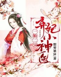 一胎二寶：棄妃小神醫