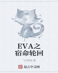 EVA之宿命輪回