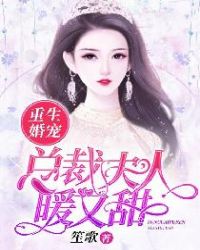 重生婚寵：總裁夫人暖又甜