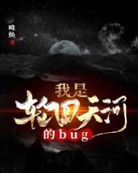 我是輪回天河的bug