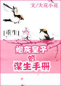 炮灰皇子的謀生手冊