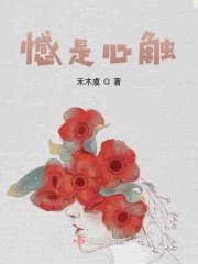 憾是心觸