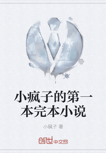 小瘋子的第一本完本小說