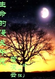 生命的漫長午夜