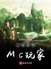 三國裏的MC玩家