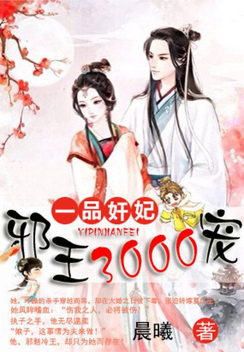 一品奸妃：邪王3000寵