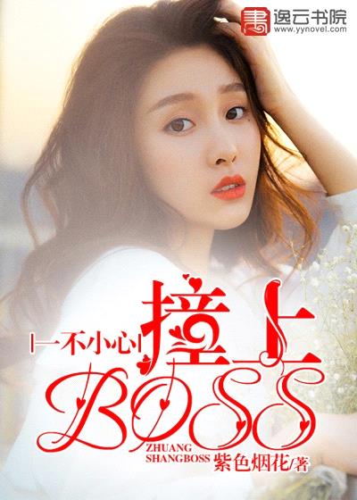 一不小心撞上BOSS