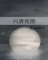 興唐夜遊