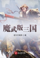 魔武版三國