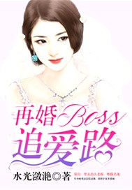 再婚BOSS追愛路